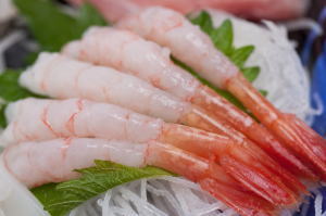 Ama Ebi  no sashimi