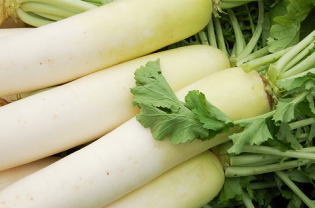 daikon