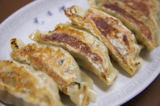 yaki gyoza