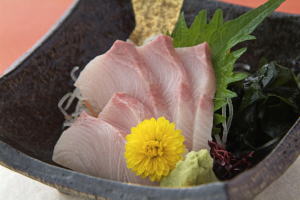 Hamachi no sashimi