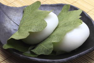 kashiwa mochi