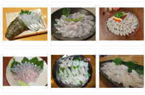 kochi sashimi