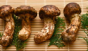 yaki matsutake