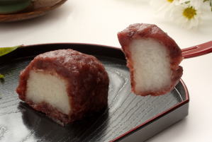 bota mochi