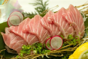 otoro no sashimi