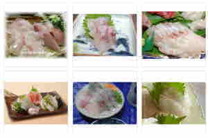 shiromi sashimi