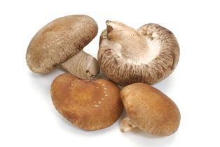 shiitake