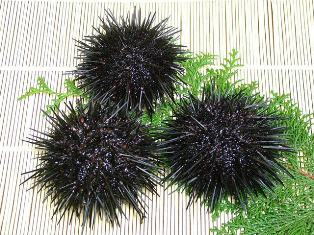 uni