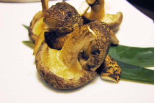 Yaki Shiitake