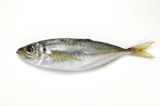 aji