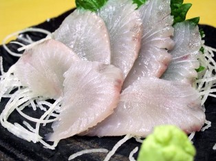 sawara no sashimi